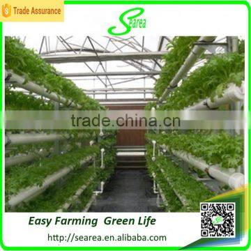 Hot Sale Greenhouse Hydroponic Culture Tray/system for Vegetables photo-4