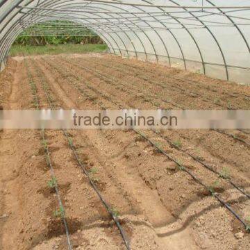BaoLiDa Low Costagricultural Plastic Film Covering Tunnel Greenhouse photo-5