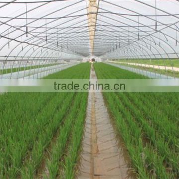 Hot sale agricultural goods about tunnel greenhouse