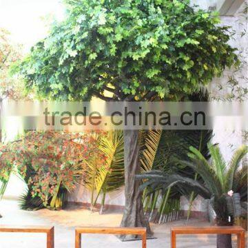 Home Garden Decoration 100cm to 1000cm Height Artificial Indoor Live Plastic Ficus Red With Green Palm Tree EZLS05 1007 photo-5