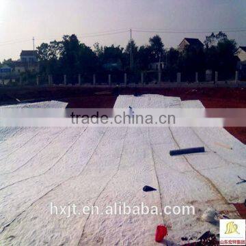 Geosynthetic Clay Liner (GCL) for Landfill and Environmental Protection Geomambrane Clay Liner photo-6