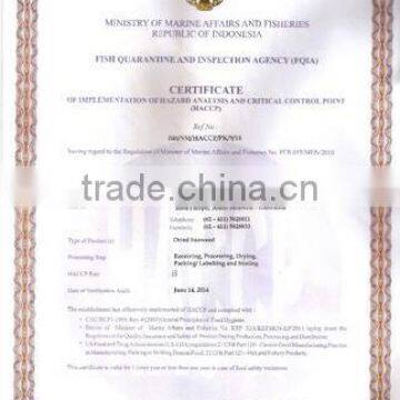 Eucheuma Cottoni With High Quality photo-6