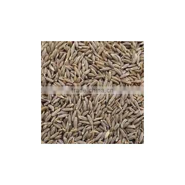 Cumin Seeds