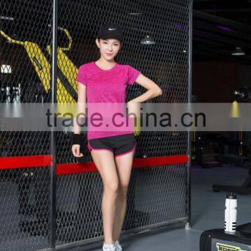 Latest Design Sports Seamless T-shirts for Women photo-3