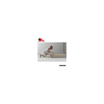 Memory foam mattress with Soja composition rolled and memory foam