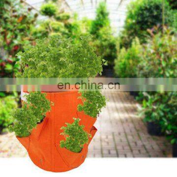 Factory OEM Product Grow Bags photo-6