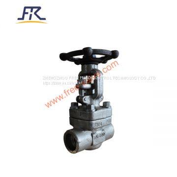 SW Ends Forged Steel carbon steel A105 Globe Valve