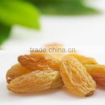 green dried raisin good quality