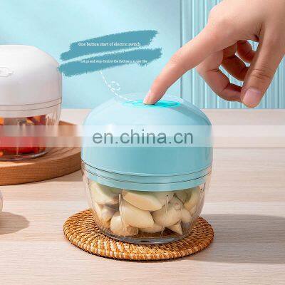 OEM Packages 45W 300ML Rechargeable Portable Electric Vegetable Chopper Mini Garlic Food Chopper