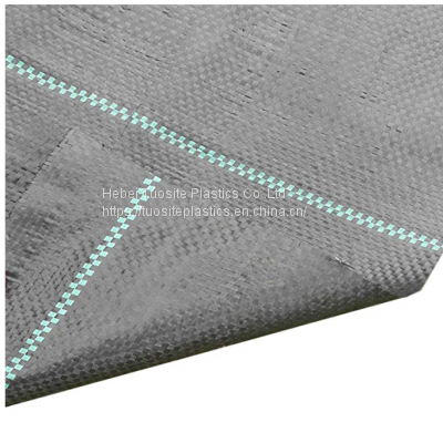 Wholesale Agriculture Weed Mat Ground Cover For Blueberry Trees Ground Cover Weeding Control Mat
