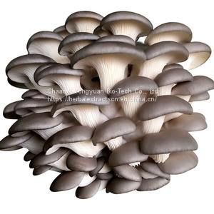 Oyster mushroom Extract Polysaccharide 50%, Oster fungus Extract, Pleurotus ostreatus Extract, Pleurotus ostreatus Polysaccharide 50%