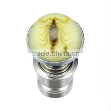 Insect Resin Cigarette Lighter Automotive Interior