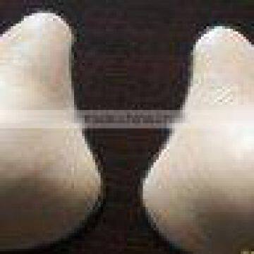 silicone breast enhancer