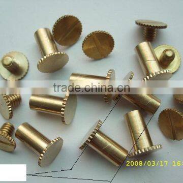 binding screw