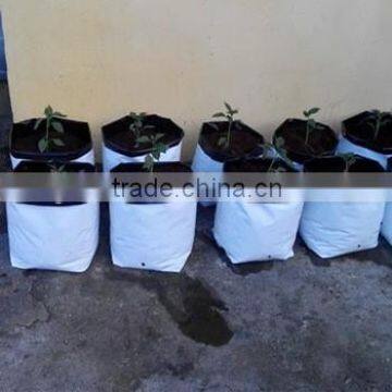 Agricultural polyethlene grow bags for plants