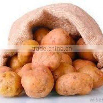 indian potato for sale