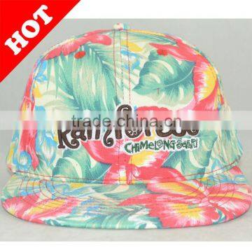 2013 fashionable cotton print snapback 5 panel cap/sports cap