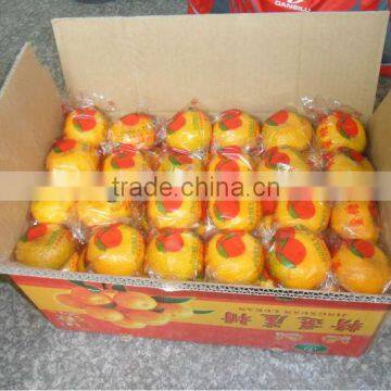 Honey Lugan from China 70mm