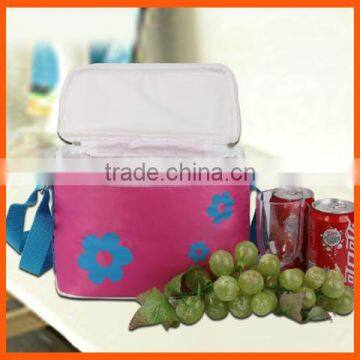 Promotional Non Woven Polypropylene Foldable Lunch Bag With Carry Handle /Cooler Bag