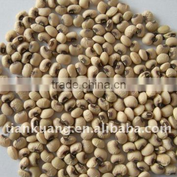 cowpea MEET EU MARKET