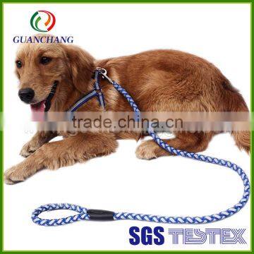 Name brand smart dog collars and leashes, dog collars manufacturers