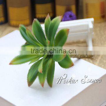 Natural Look Wholesale Price Artificial Tropical Plant Plastic Material Succulent Plant for Green Wall photo-3