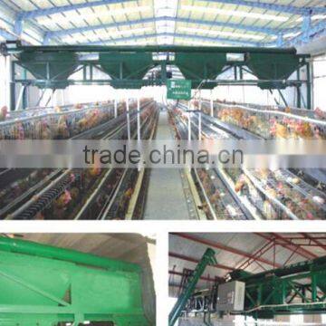 Chicken Farm Automatic Poultry Feeding System for Broiler photo-3