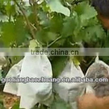 Paper Grape Protection Bag