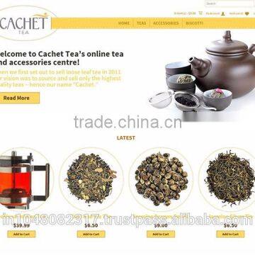 Website Design and Development in India Delhi photo-6