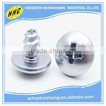 China Customized High Precision Stainless Steel Phillips Self Tapping Screw