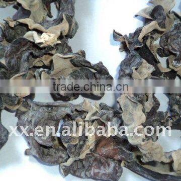 chinese high quality black agaric for sale