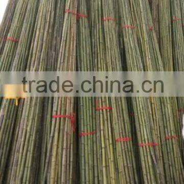 Bamboo Poles and Bamboo Bent Pole