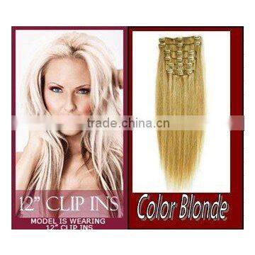 Perm Straight Clip Extension -Blonde Color 12 INCH Wholesale