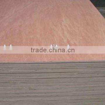 lowest price China 20mm bintangor plywood