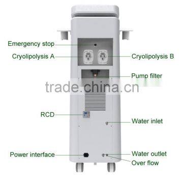 Lose Weight Best Seller Venus Freeze Machine Cryolipolisis Slimming Machine 4 Handpiece Cryolipolysis Fat Freezing Machine Reduce Cellulite photo-3