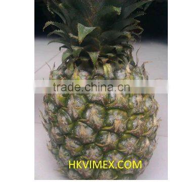 Fresh Queen Extra Sweet Pineapples