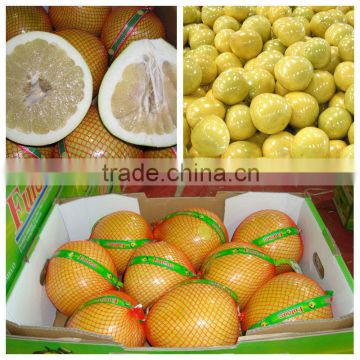 Honey Pomelo Green Citrus Fruits