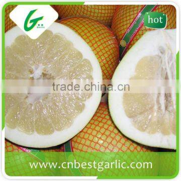 Sweet Honey Pomelo 12kg and 15kg Carton for European Market photo-5