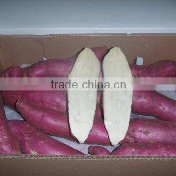 Fresh Sweet Potato Yellow Potato photo-2