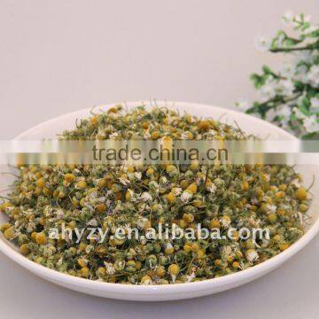 Chamomile Flower(yangganju)