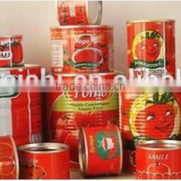 Hot Sale Canned Tomato Paste with High Quality