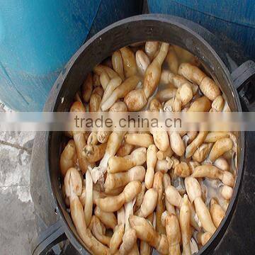 Hot Sales Canned Drumstick Mushroom photo-2