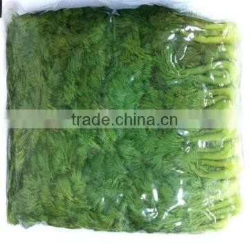 boiled aralia elate seem in bag boiled vegetable for Japan pickled aralia elate seem