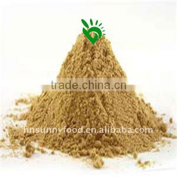 HIGH QUALITY Dried Vegetable Powder Ginger Powder