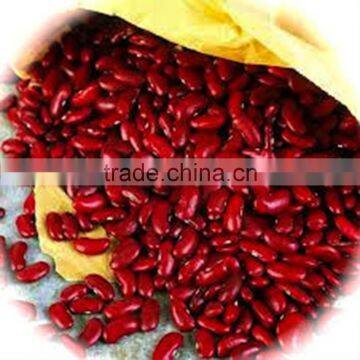 JSX Bulk Factory Supply Red Kidney Bean Origin Food Grade Red Beans Kidney Beans photo-5