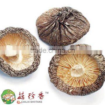 smooth shiitake mushroom dried in 4-6 cm size