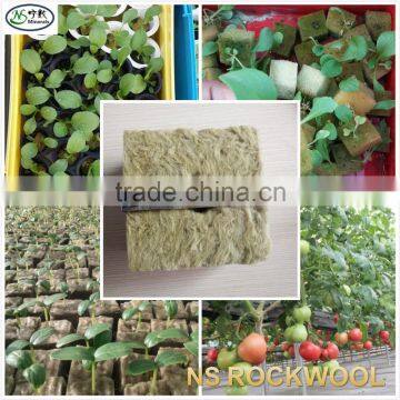 Hydroponic growing media rockwool cubes for seed starting