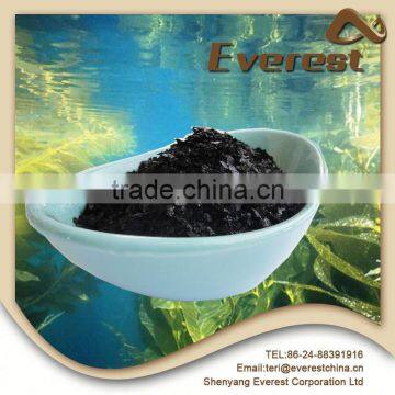 Top application economical price organic seaweed based fertilizer