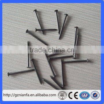 High quality wire nails factory/common wire nails price/steel wire nails(Guangzhou Factory)