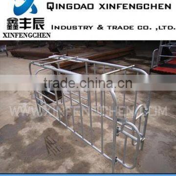 Automatic Pig Farming Equipment for Sale